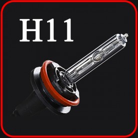 H11