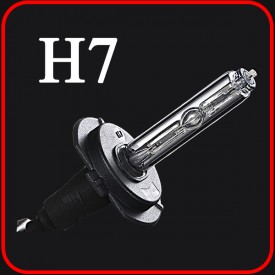 H7