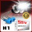 55W H1 Heavy Duty HID Xenon Replacement Bulbs (Pack of 2)